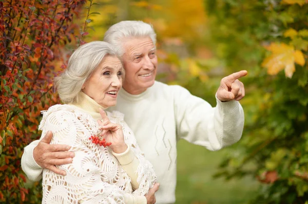 Mooi Senior Paar Het Park Man Die Met Vinger Wijst — Stockfoto