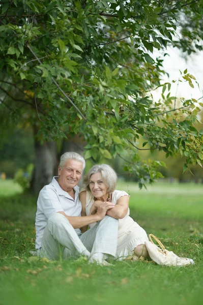 Porträt Eines Schönen Senioren Paares Auf Gras Sitzend — Stockfoto