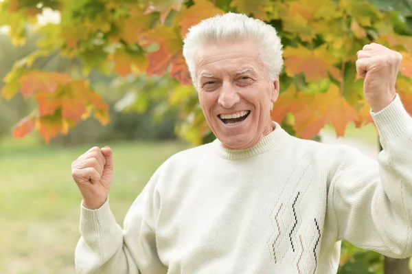 Portret Szczęśliwego Uśmiechniętego Starszego Mężczyzny Parku — Zdjęcie stockowe