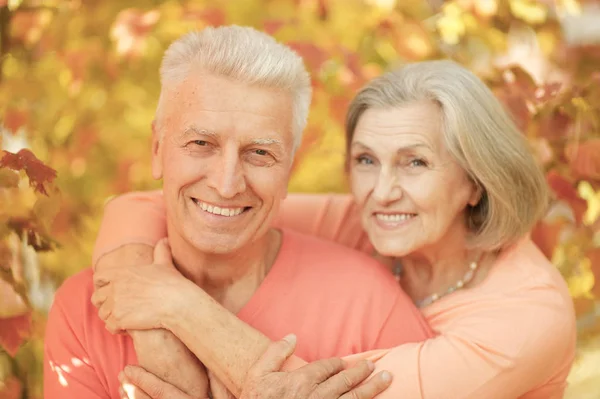 Portrait Beau Couple Personnes Âgées Étreignant Dans Parc — Photo