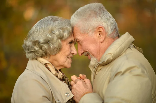 Schönes Älteres Paar Posiert Park — Stockfoto