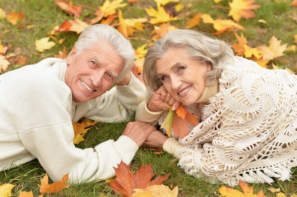 Porträt Eines Schönen Seniorenpaares Park Auf Gras — Stockfoto