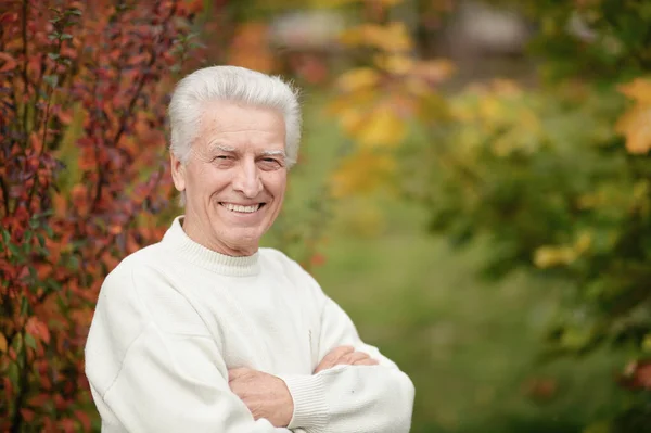 Porträtt Happy Senior Man Parken — Stockfoto