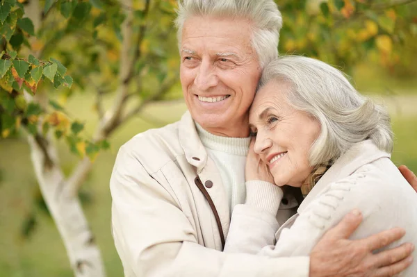 Portrait Beautiful Senior Couple Hugging — Stock Photo, Image