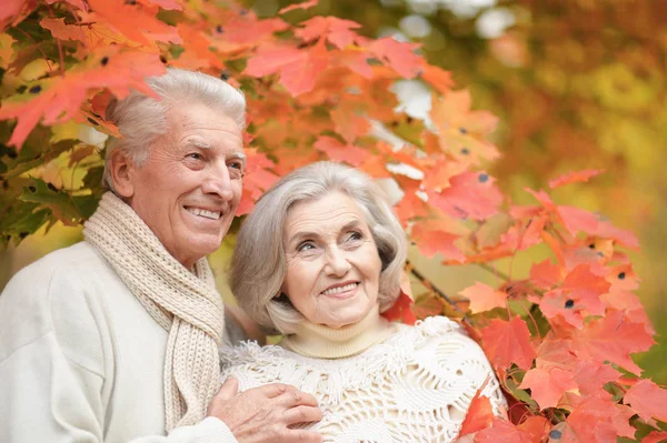 Lächelndes Seniorenpaar Posiert Park — Stockfoto