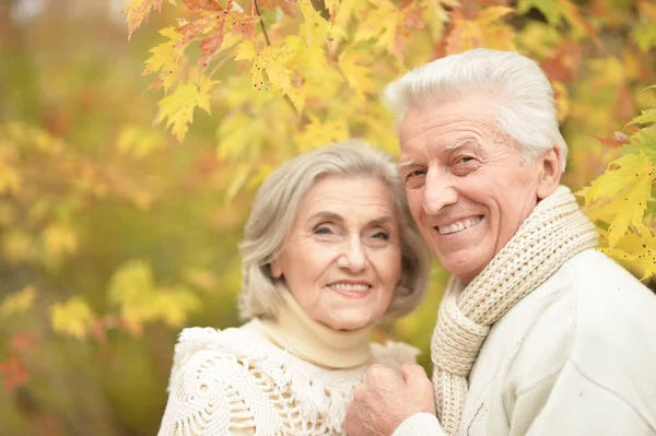 Sorridente Coppia Anziani Posa Nel Parco — Foto Stock