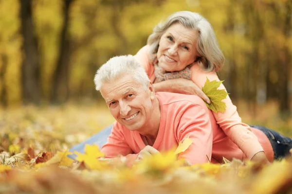 Šťastný Starší Pár Pózující Podzim Listy — Stock fotografie