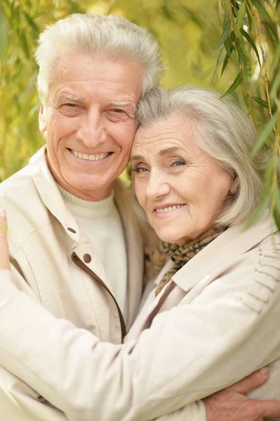 Retrato Hermosa Pareja Ancianos Abrazos —  Fotos de Stock