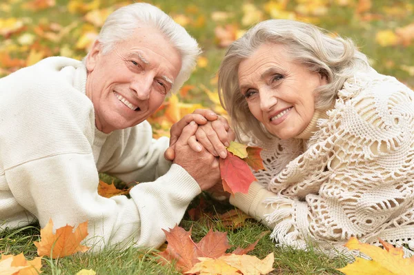 公园里草地上美丽的老夫妇的画像 — 图库照片
