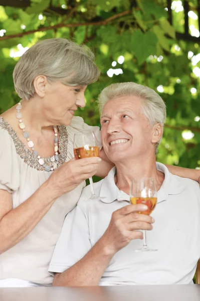 Old couple drinking wine — Stock Photo, Image