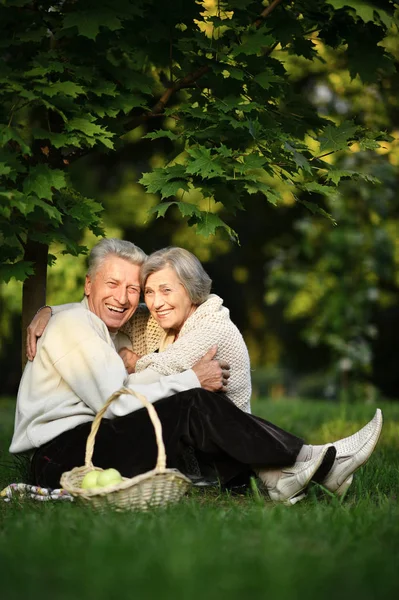 Porträtt Vackra Äldre Par Sitter Gräs — Stockfoto