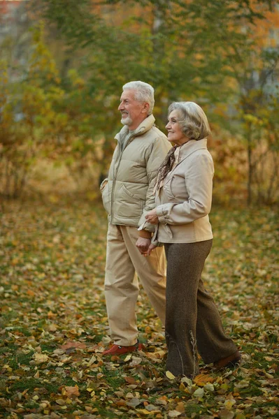 Pasangan Senior Yang Cantik Berjalan Taman — Stok Foto