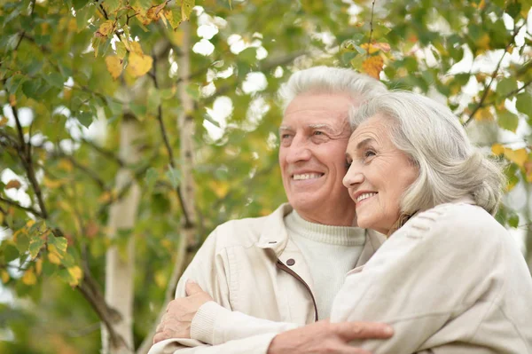 Hermosa Pareja Ancianos Abrazándose Parque —  Fotos de Stock