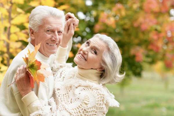 Glückliches Senioren Paar Tanzt Sommerpark — Stockfoto