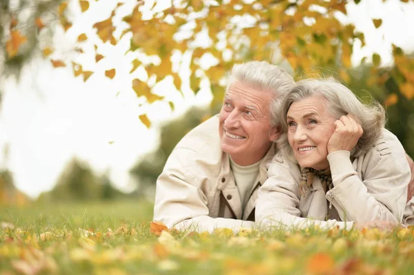 Retrato Hermosa Pareja Ancianos Tumbados Parque —  Fotos de Stock