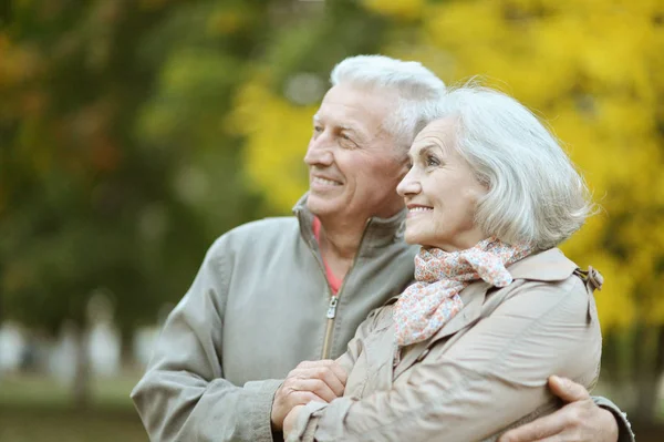 Glada Äldre Par Poserar Parken — Stockfoto