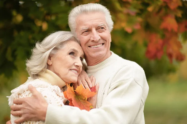 Portret Pięknej Pary Seniorów Liśćmi Parku — Zdjęcie stockowe