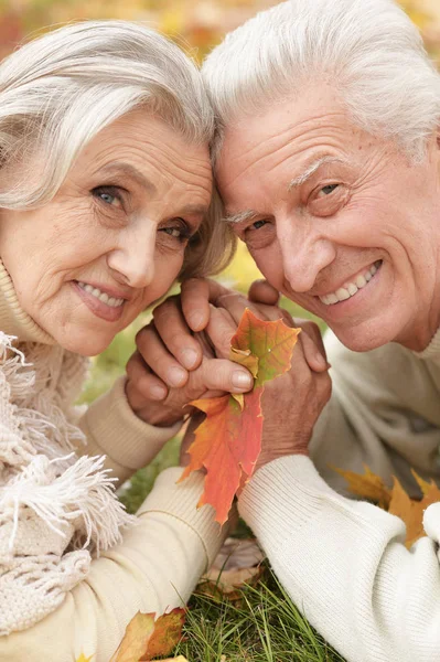 Portrait Beau Couple Personnes Âgées Dans Parc Sur Herbe — Photo