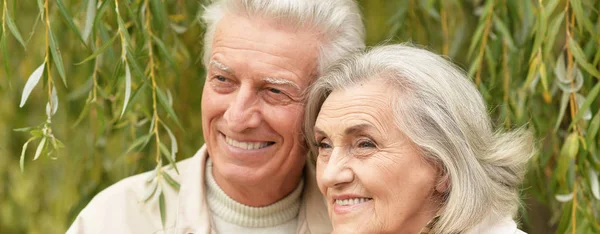 Retrato Hermosa Pareja Ancianos Abrazos — Foto de Stock