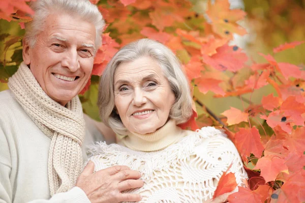 Sorridente Coppia Anziani Posa Nel Parco — Foto Stock