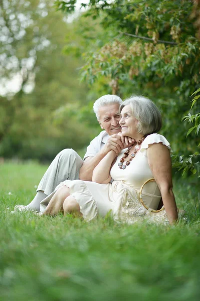 Çimenlerde Oturan Güzel Yaşlı Çiftin Portresi — Stok fotoğraf