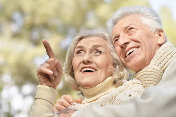 Hermosa Pareja Ancianos Parque Mostrando Algo —  Fotos de Stock