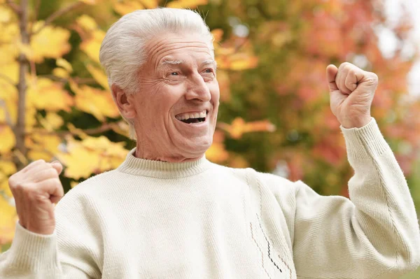 Portrait Homme Âgé Heureux Dans Parc — Photo