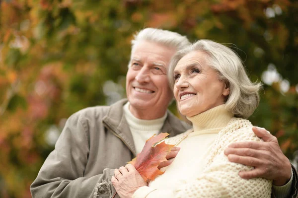 Portrét Krásného Seniorského Páru Usmívajícího Parku — Stock fotografie