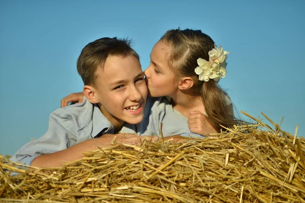 Ritratto Bambini Felici Campo Estate — Foto Stock