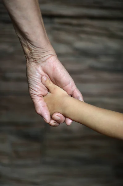 Mujer sosteniendo hijas manos —  Fotos de Stock
