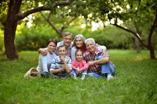 Glad Leende Familj Koppla Parken — Stockfoto