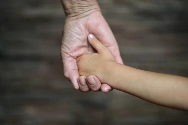 Frau hält Töchter an den Händen — Stockfoto