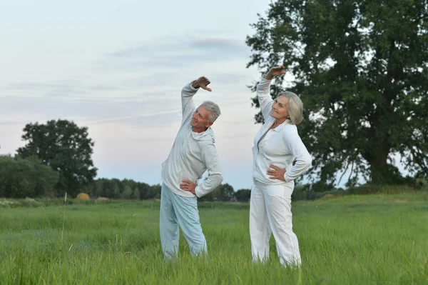 Forma Pareja Mayor Haciendo Ejercicio Parque — Foto de Stock