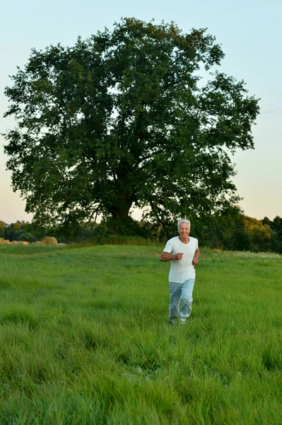夏の畑を走る幸せな男 — ストック写真