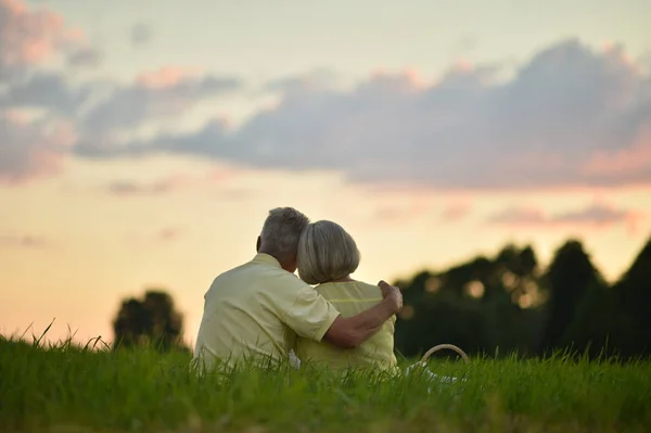 Feliz Pareja Ancianos Parque Verano —  Fotos de Stock