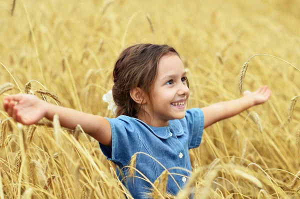 Söt Liten Flicka Vetefält — Stockfoto