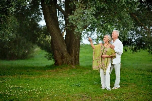 Gyönyörű Vezető Házaspár Átölelve Parkban Ujjal Mutatva — Stock Fotó