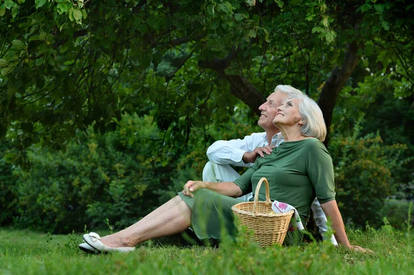 Loving Elderly Couple Having Picnic Park — Stock Photo, Image