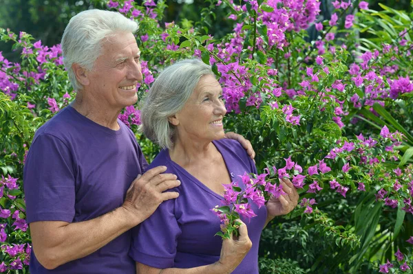 Porträt Eines Schönen Seniorenpaares Park — Stockfoto