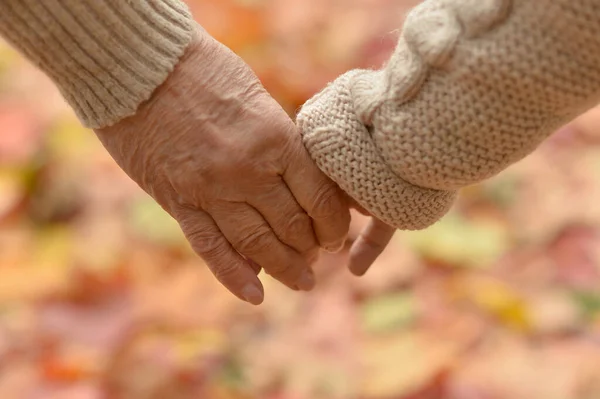 Kleindochter Grootmoeder Hand Hand Close — Stockfoto