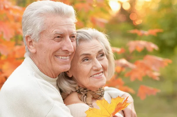 Retrato Hermosa Pareja Ancianos Parque — Foto de Stock