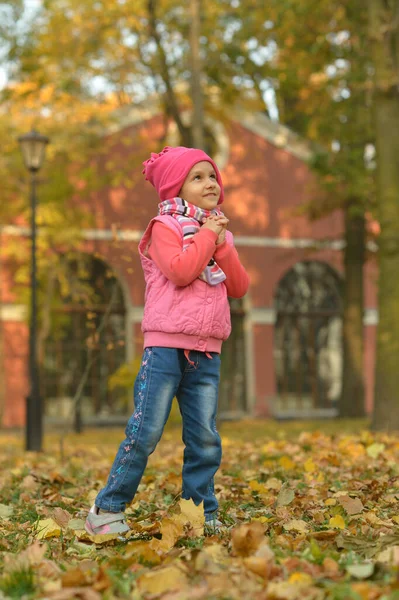 Cute Little Girl Jesiennym Parku — Zdjęcie stockowe