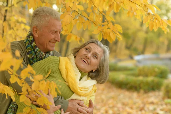 Mooi Senior Paar Veel Plezier Park — Stockfoto