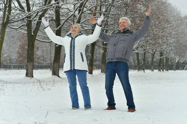 Szczęśliwa Para Seniorów Zaśnieżonym Zimowym Parku Rękami Górze — Zdjęcie stockowe
