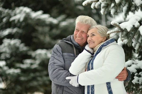 Feliz Pareja Ancianos Abrazándose Nevado Parque Invierno —  Fotos de Stock