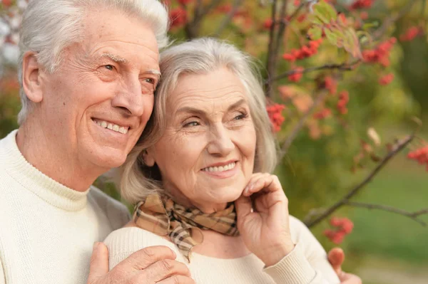 Porträt Eines Schönen Senioren Paares Das Sich Umarmt — Stockfoto