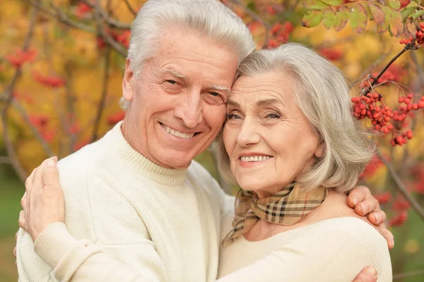 秋天公园美丽的老夫妇肖像画 — 图库照片