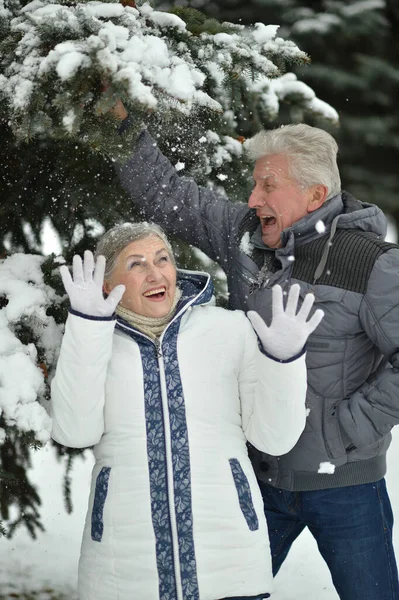 快乐的老夫妇在雪地的冬季公园 — 图库照片