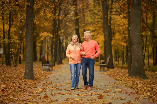 Vacker Senior Par Promenader Parken — Stockfoto