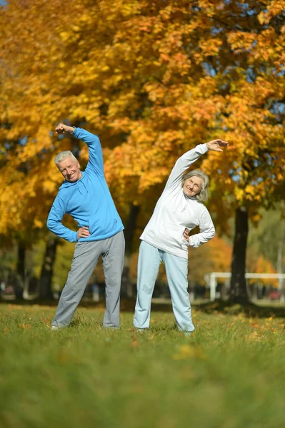 Park Yerinde Egzersiz Yapan Yaşlı Çift — Stok fotoğraf